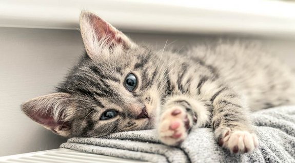 Ein Teaserbild zum Thema Contracting